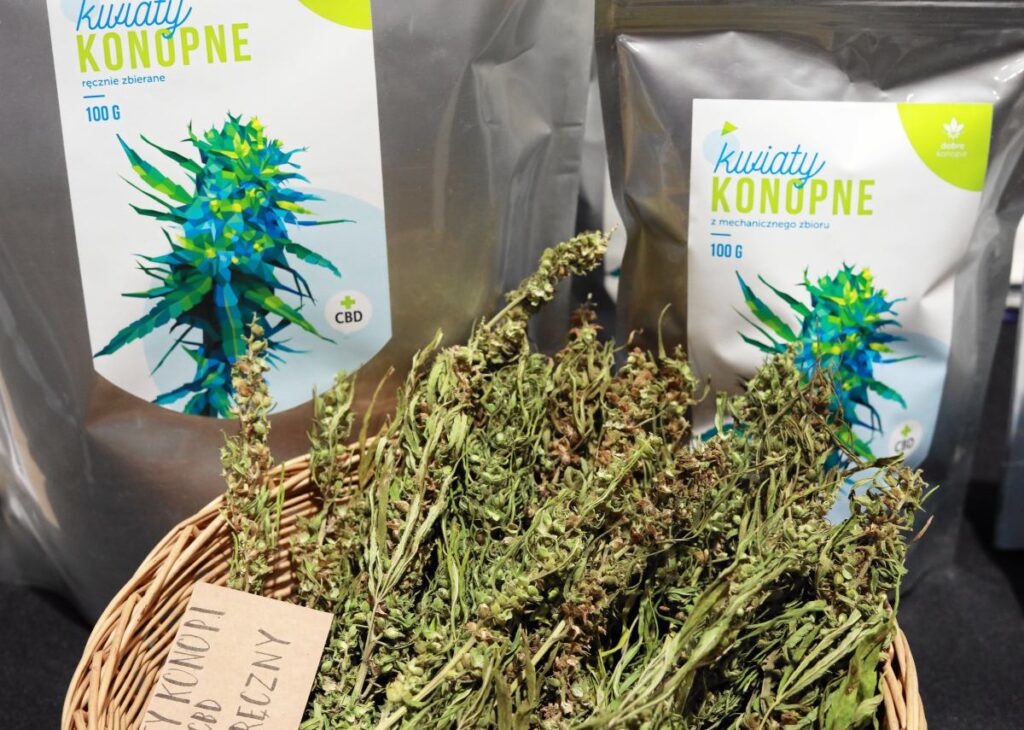 polonya da kisisel kullanima yonelik marihuana duzenlemesi tartismasi 56082