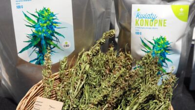 Polonya da kisisel kullanima yonelik marihuana duzenlemesi tartismasi 56082