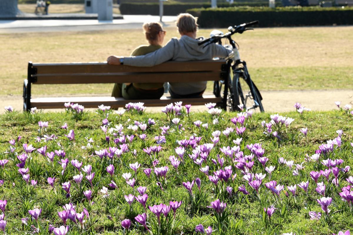Polonya da onumuzdeki gunlerde hava durumu sicakliklar yukselip dusecek paskalya da rekor sicaklik beklentisi 56706