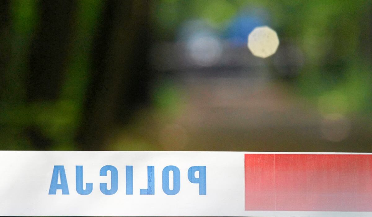 Polonya da trafik kazasi bir kisi hayatini kaybetti 54055