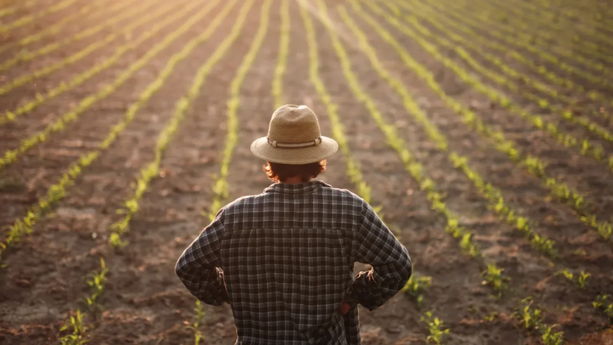 Polonya da tutun yasasi tartismalari sektor ve ciftciler i stikrar ve diyalog talep ediyor 53447