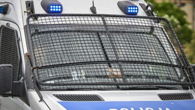 Polonya da yasli cift cinayeti supheli torunlari 57154