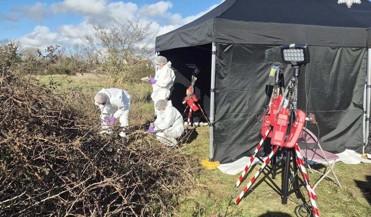 Polonyali adamin cesedi valizde bulundu katowice polisi cinayeti cozdu 50819