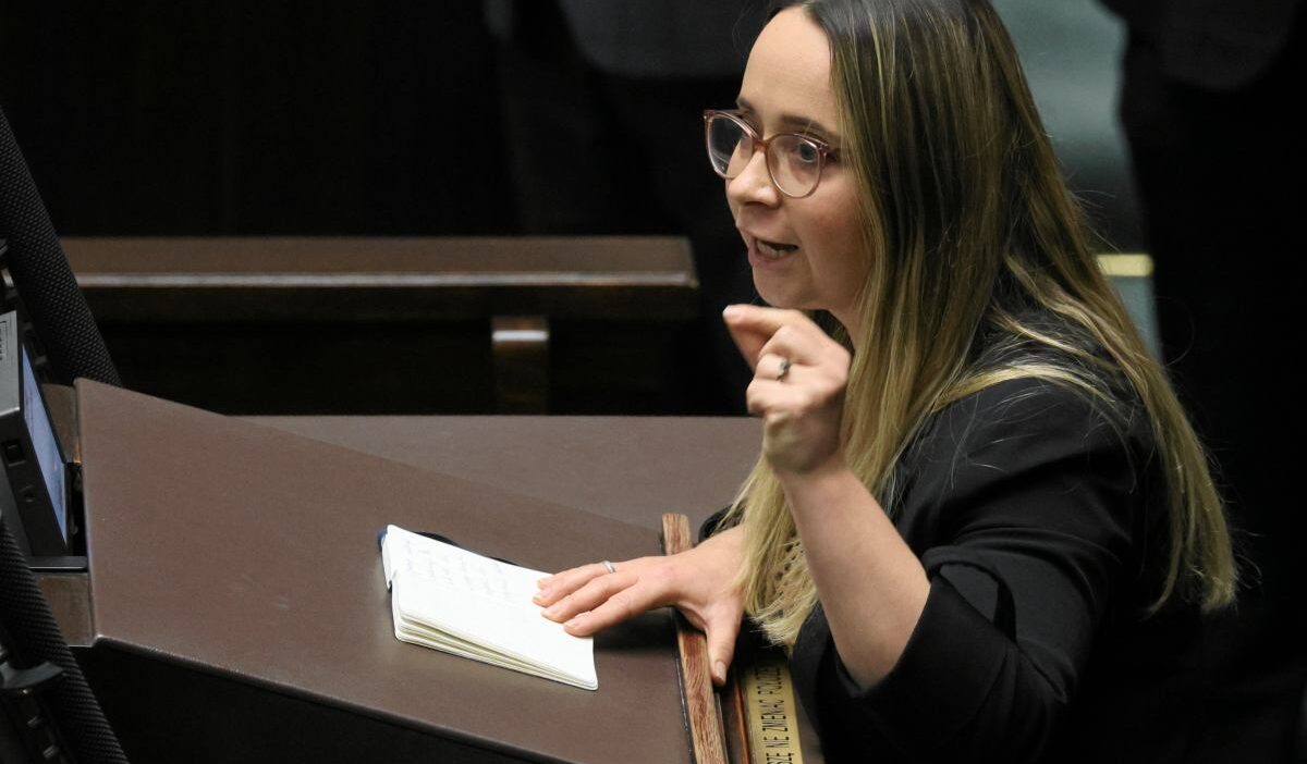 Razem partisi nin yasa tasarilari meclis te destek bulmakta zorlaniyor 54077