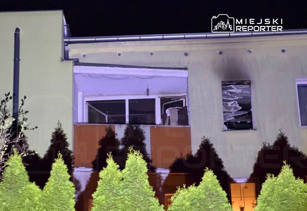 Varsova da bir apartmanda cikan yanginda evcil hayvanlardan biri kurtarildi 57318