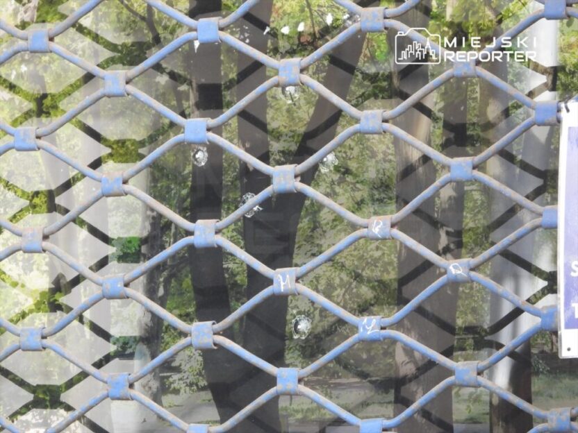 Varsova da lise binasi nefes silahiyla saldiriya maruz kaldi 51220