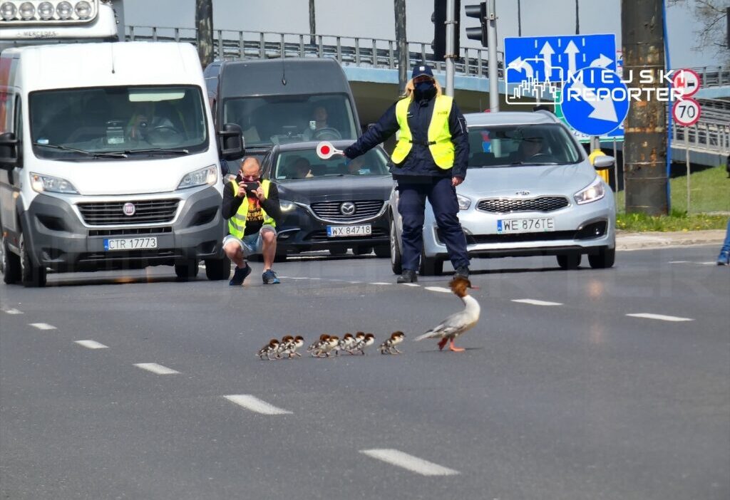 Varşova'da nurogözler i̇çin koruma çalışmaları başladı 1 Varsova da nurogozler i cin koruma calismalari basladi 54462