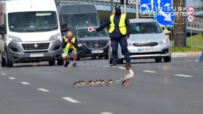 Varsova da nurogozler i cin koruma calismalari basladi 54462