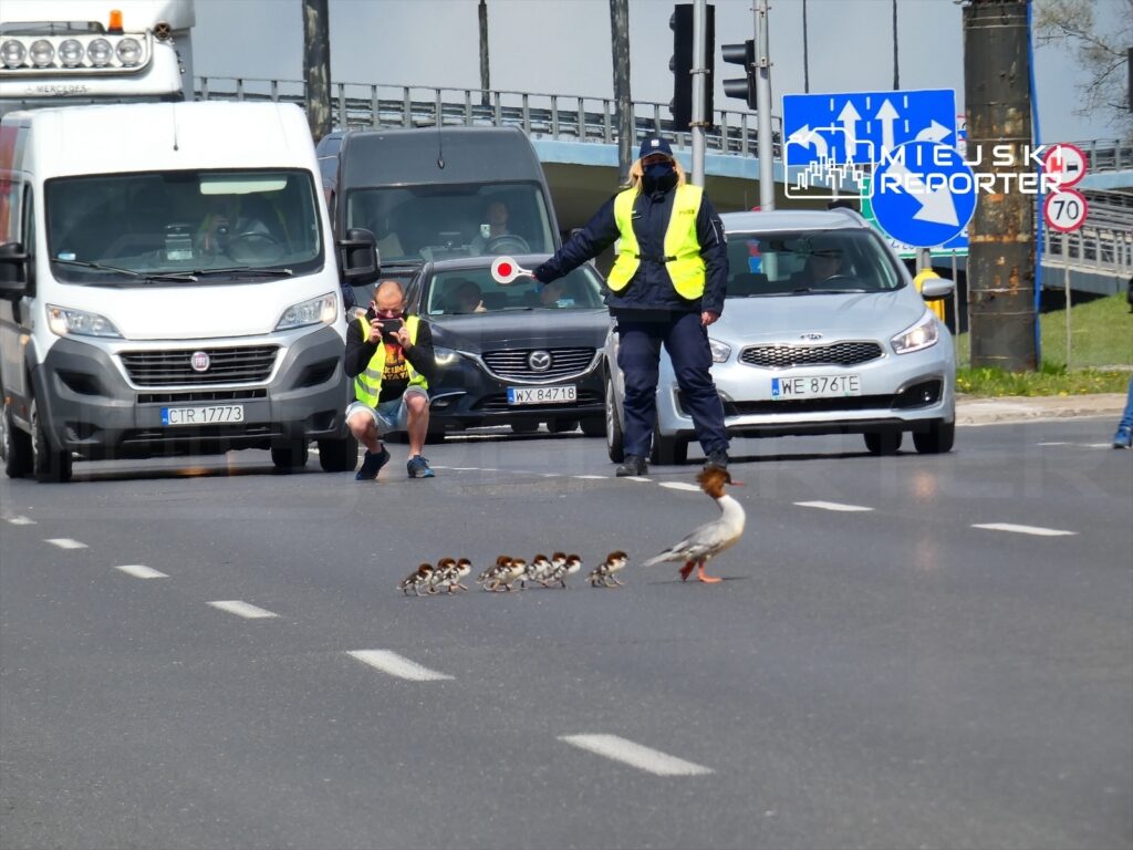 varsova da nurogozler i cin koruma calismalari basladi 54462