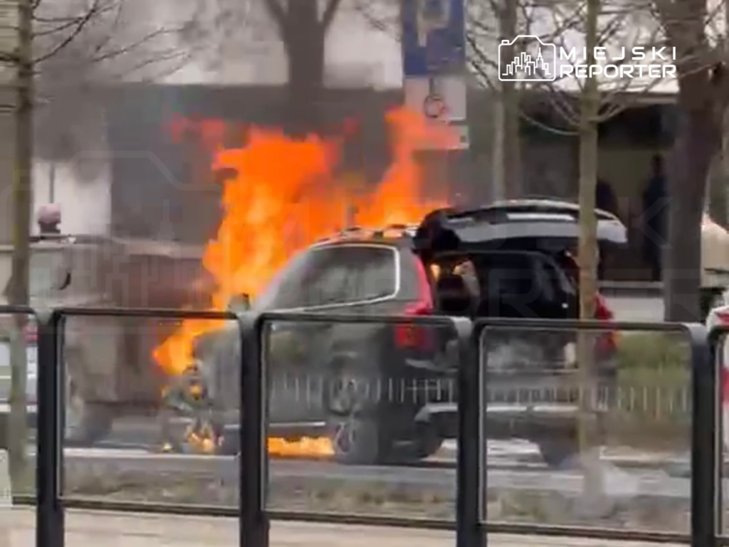 varsova da park halindeki i ki aracta yangin 55937