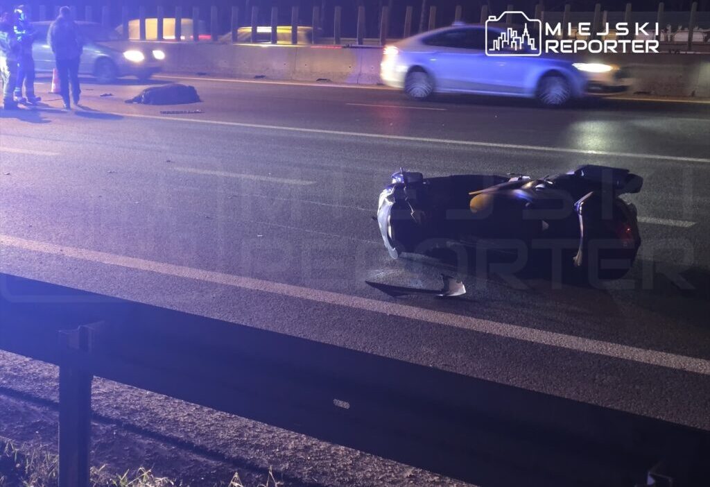 Varsova da s8 otoyolunda motosiklet yaban domuzuyla carpisti 50798