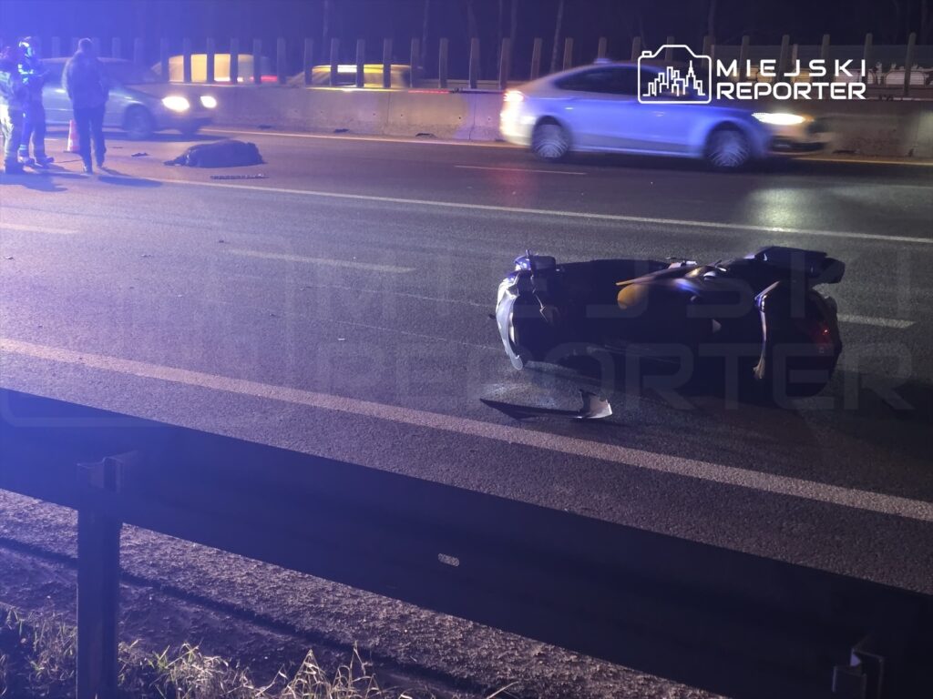 varsova da s8 otoyolunda motosiklet yaban domuzuyla carpisti 50798