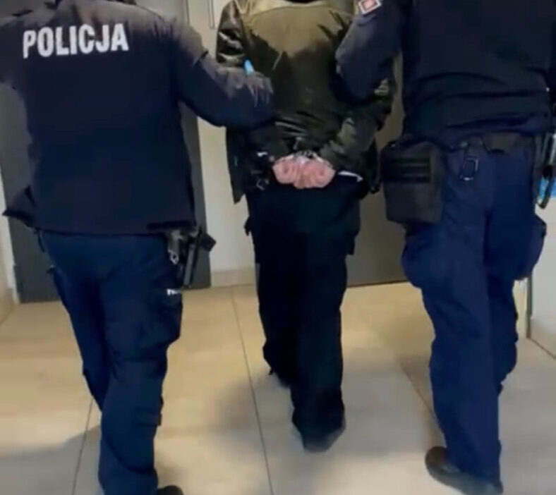 Varsova ursyn w da seri otomobil hirsizligi suphelisi tutuklandi 52447