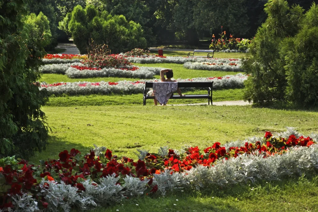 2026 sanatoryo bekleme sureleri i l i l guncel veriler ve alternatifler 61697