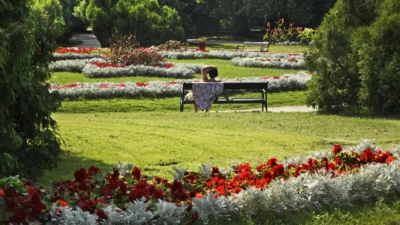 2026 sanatoryo bekleme süreleri: i̇l i̇l güncel veriler ve alternatifler 4 2026 sanatoryo bekleme sureleri i l i l guncel veriler ve alternatifler 61697