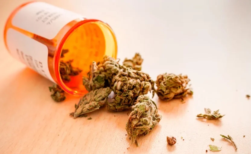 Almanya da esrar serbestlesmesi suc oranlari dustu ancak kacak pazar devam ediyor 57792