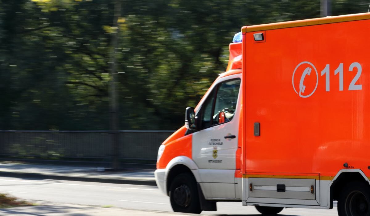 Almanya da paskalya kutlamasi sirasinda agac devrildi 3 olu yaralilar var 59010