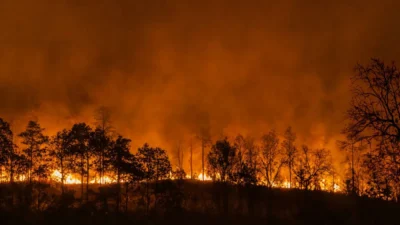 Avrupa birligi orman yanginlari risk yonetiminde yeni yaklasim duyurdu onleyici tedbirler on planda 60458