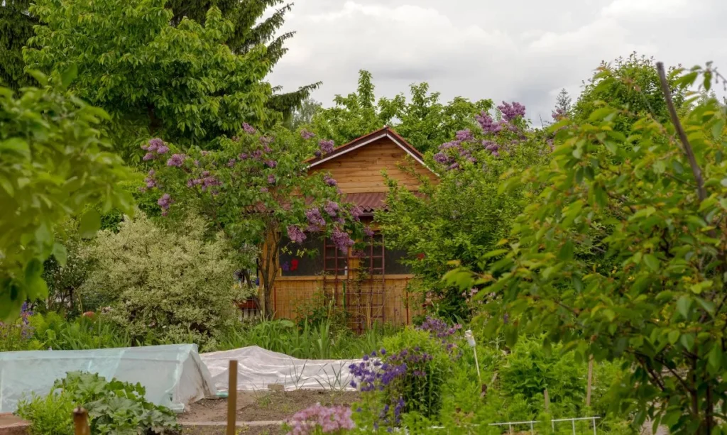 bytom da bahce derneklerine 50 bin z ot a kadar destek programi basladi 63674