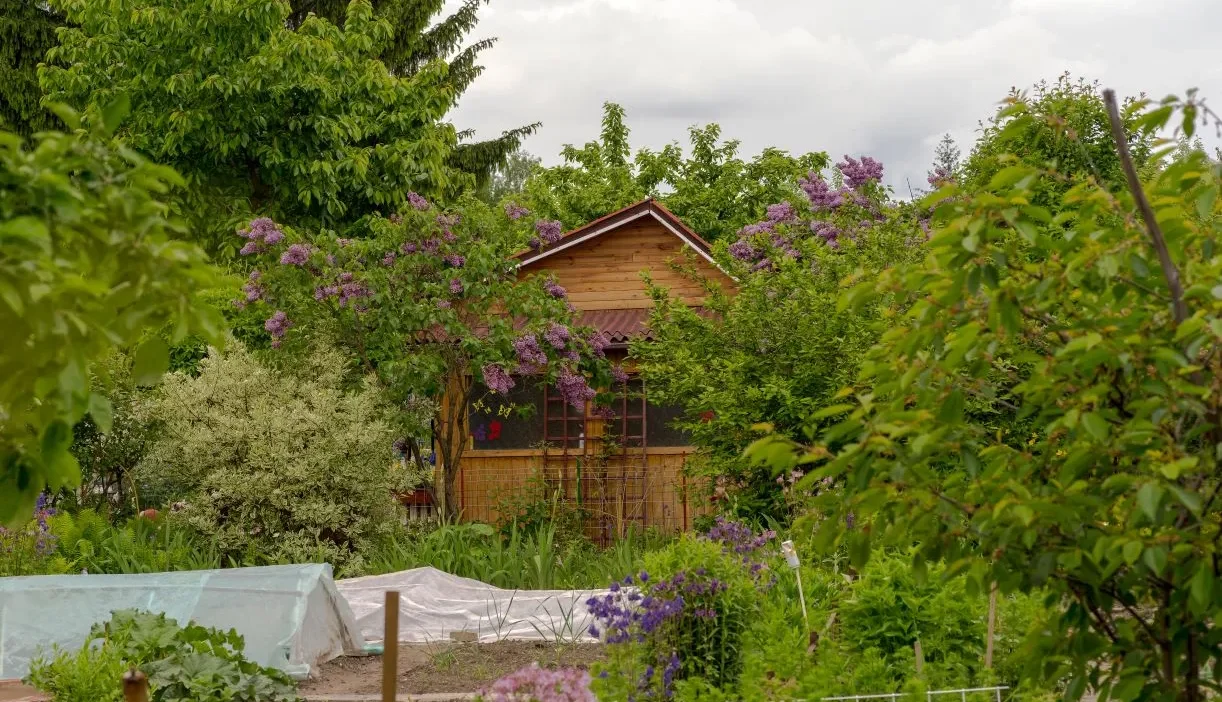 Bytom da bahce derneklerine 50 bin z ot a kadar destek programi basladi 63674