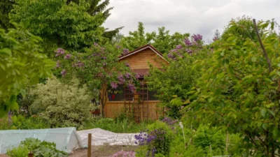 Bytom da bahce derneklerine 50 bin z ot a kadar destek programi basladi 63674