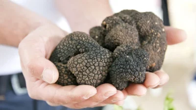 Hollanda yuksek mahkemesi sihirli truflar a kdv oranini belirledi 63754