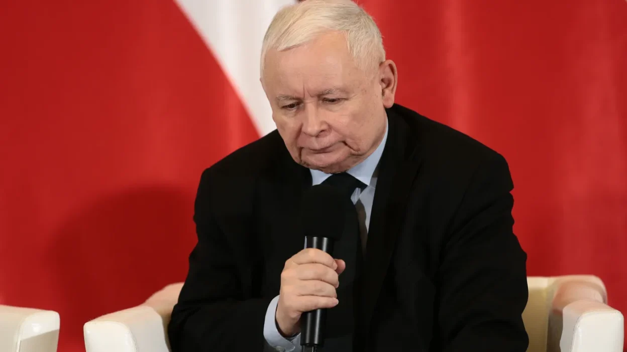 Kaczy ski basbakan adayi secim surecini ve konfederasyon un etkisini degerlendirdi 57915