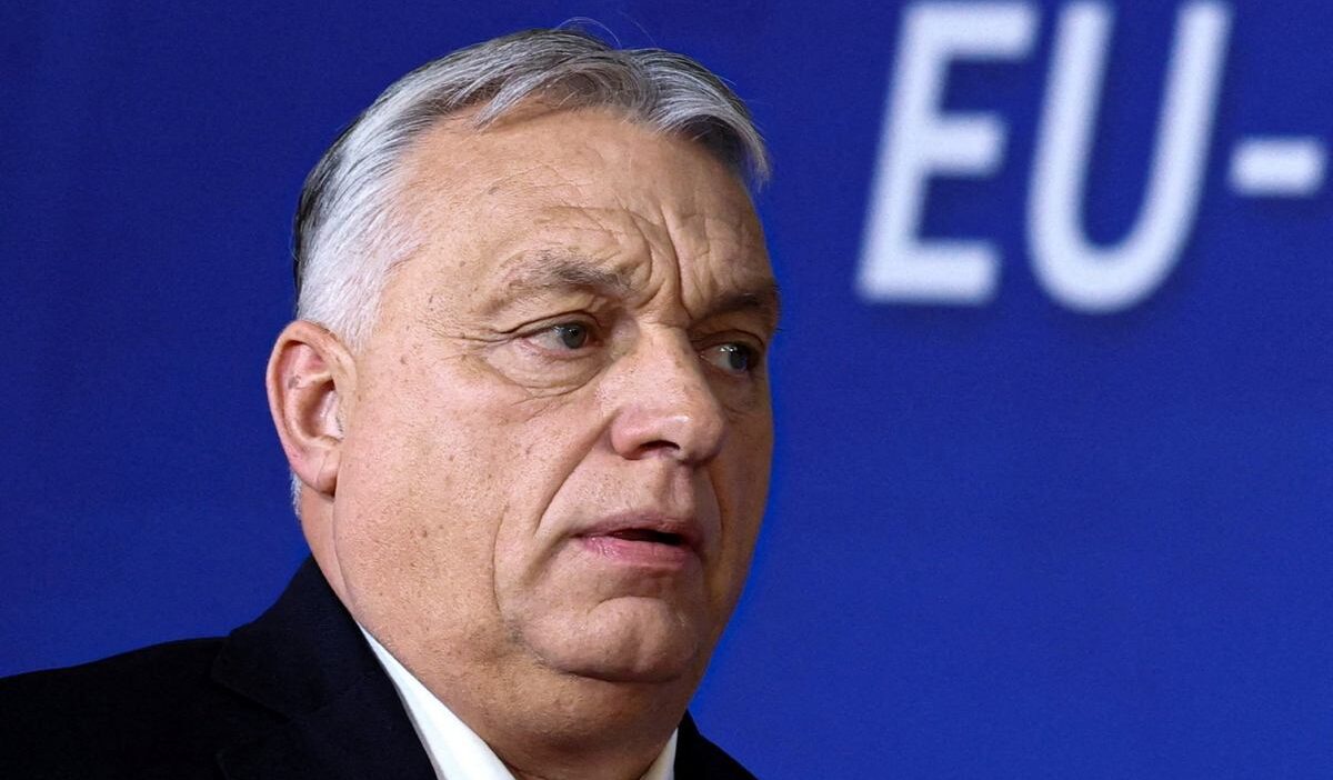 Kremlin den macaristan a dost disi statusu uyarisi ve yeni hukumetin politikalari 62246