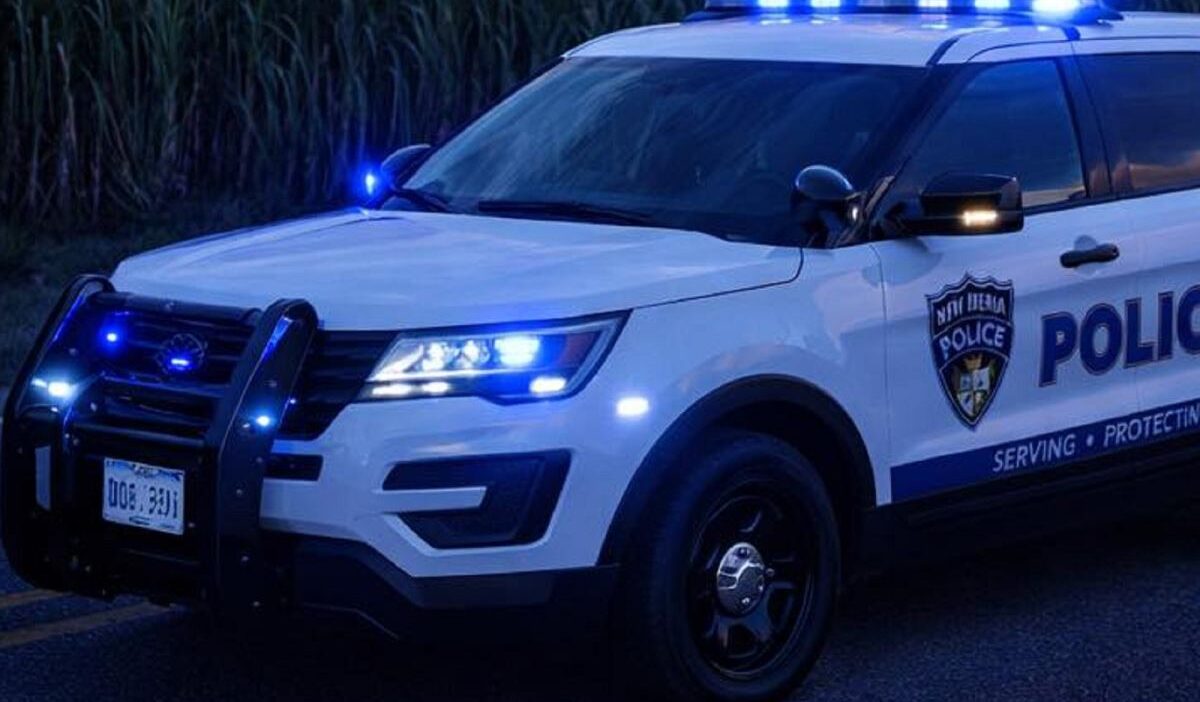 Luizyana da yeni yil festivali nde trajik kaza cok sayida yarali 58854