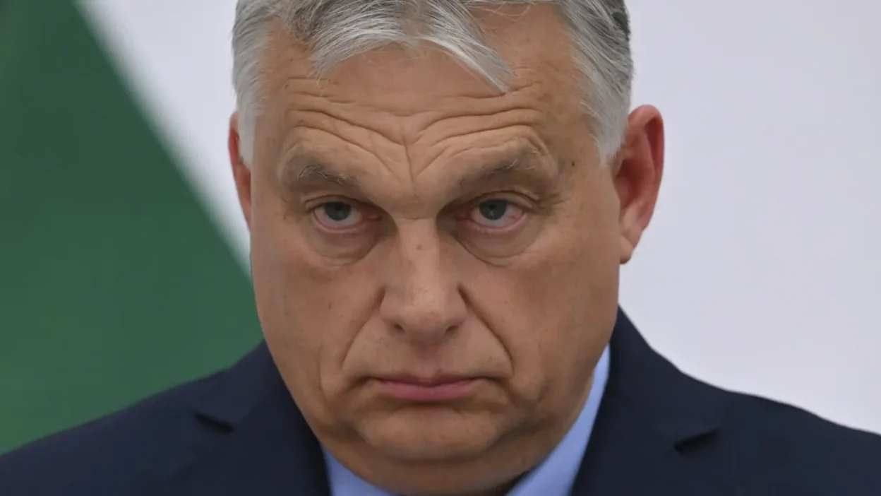 Macaristan secimlerinde opozyisyonun yukselisi tisza partisi onde 61155