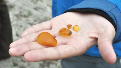 Mazowsz da roma donemi ne ait 10 bursztyn atolyesi kesfedildi 58875