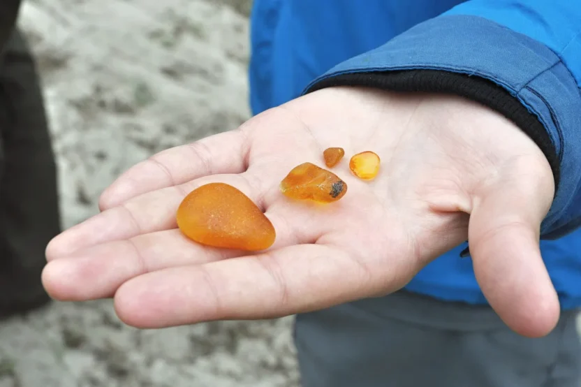 Mazowsz'da roma dönemi'ne ait 10 bursztyn atölyesi keşfedildi 10 Mazowsz da roma donemi ne ait 10 bursztyn atolyesi kesfedildi 58875