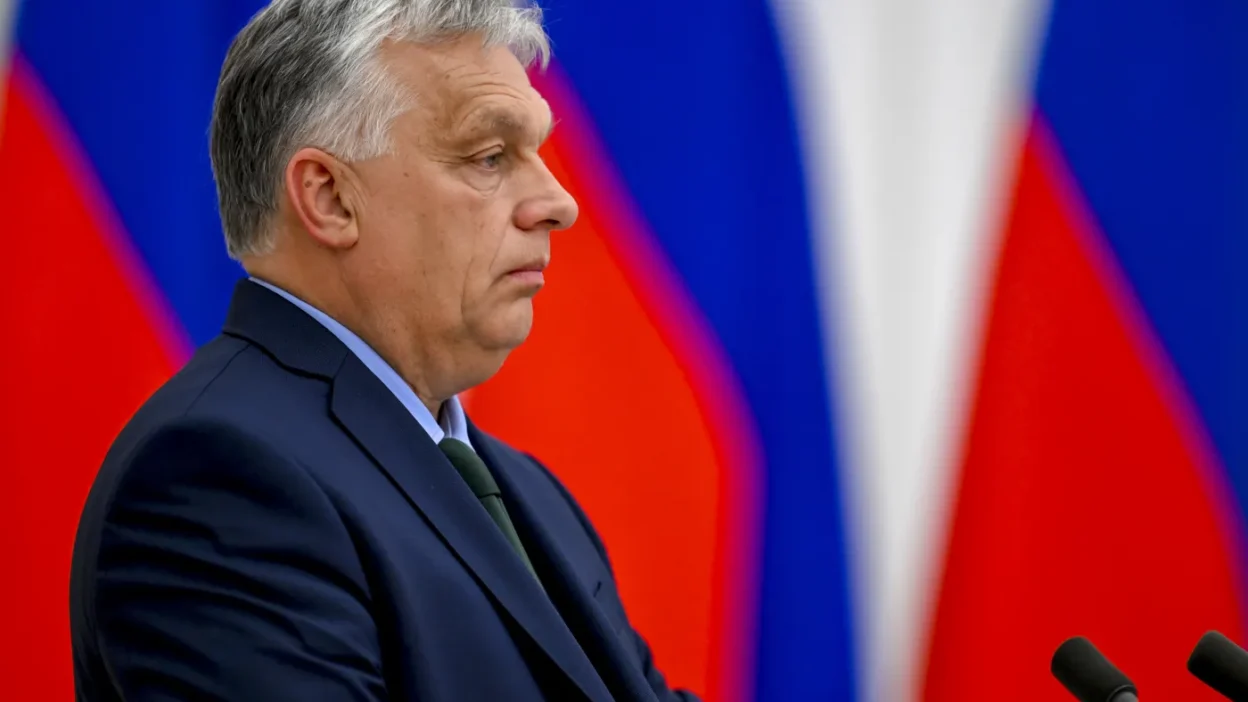 Orb n cevresinin servet kacirisi ve belge i mhasi i ddialari 66674