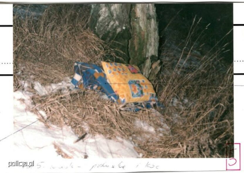 Polonya da 2001 de yol kenarinda bulunan bebek cinayeti yeniden arastiriliyor 61085