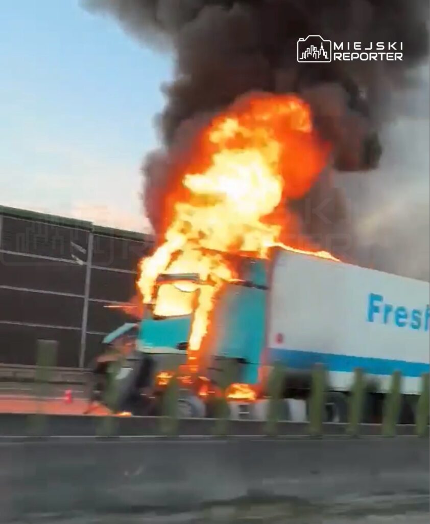 polonya da a2 otoyolunda zincirleme kaza ve tir yangini trafik kilidi 57957