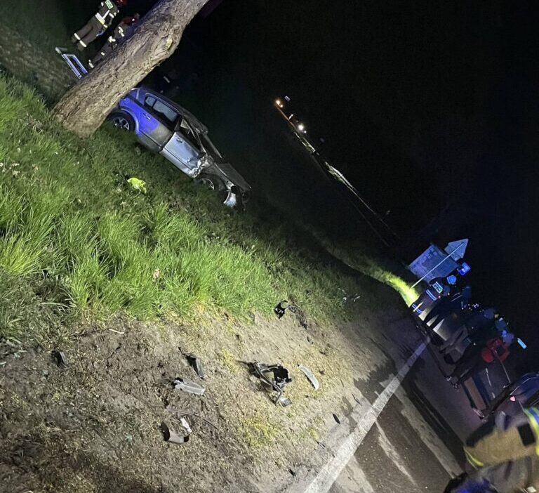 Polonya da alkollu surucu hamile yolcusuyla carpisti 66255