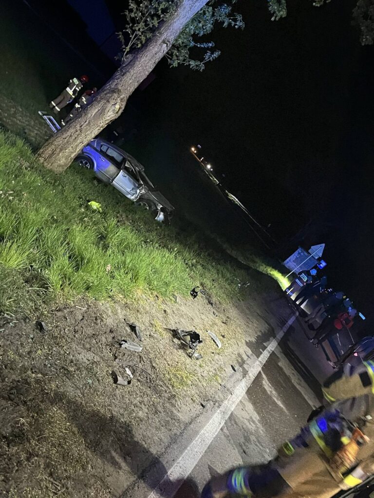 Polonya da alkollu surucu hamile yolcusuyla carpisti 66255