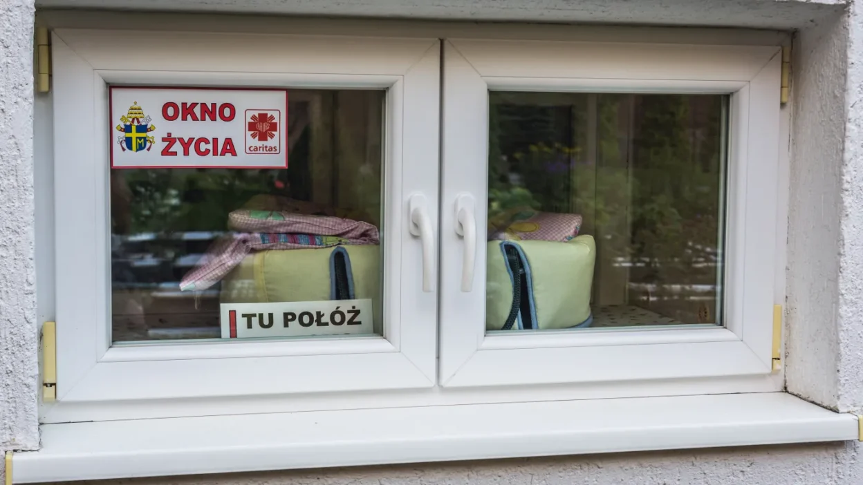 Polonya da bebek terk edildi anne bulundu hukuki surec basladi 65596