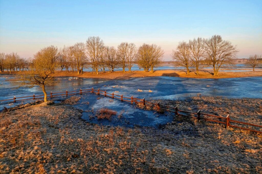 polonya da biebrza milli parki nda kayip kurtarma operasyonu 60092