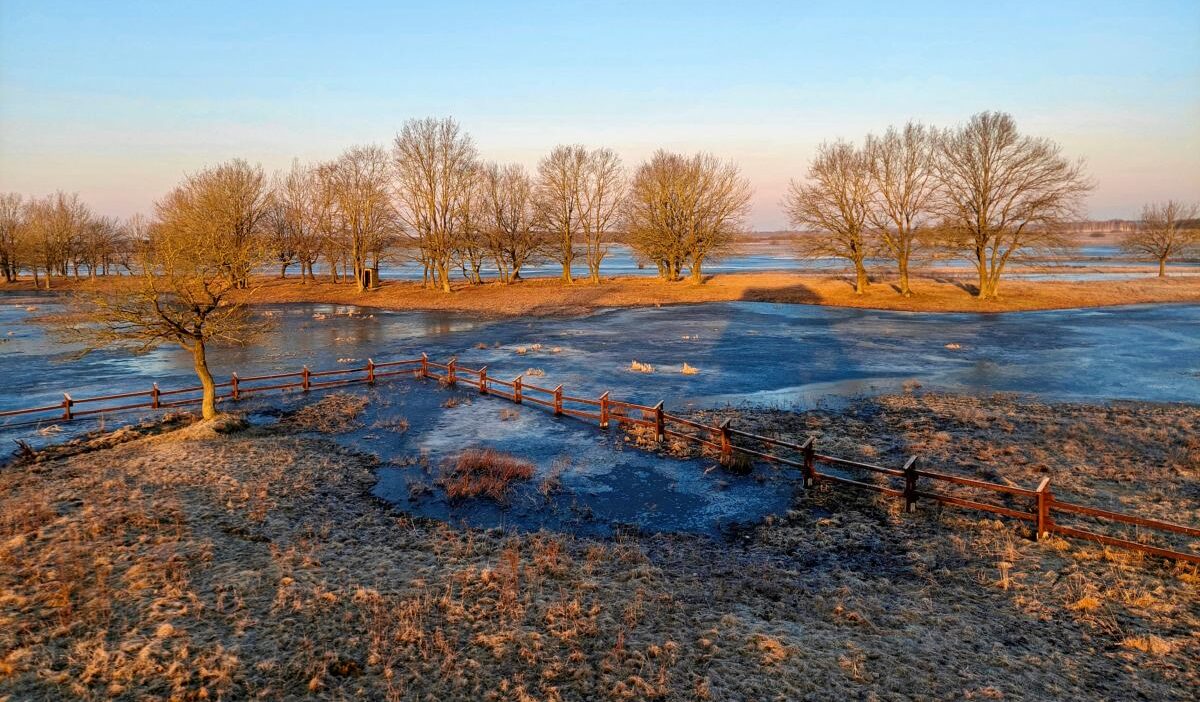 Polonya da biebrza milli parki nda kayip kurtarma operasyonu 60092