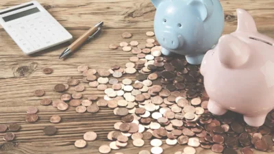 Polonya da bireysel emeklilik planlari na guven dusuyor 66555