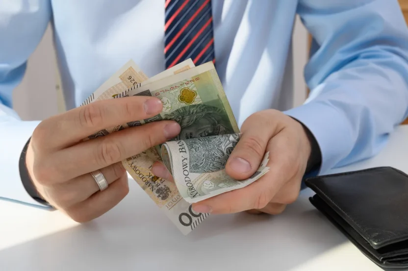 Polonya da calisanlarin yarisi ek gelir kaynagi olusturuyor i kinci i s artik norm oluyor 63120