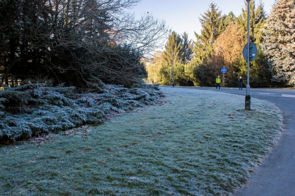 polonya da haftasonu hava durumu don tehlikesi ve bolgesel farkliliklar 60846
