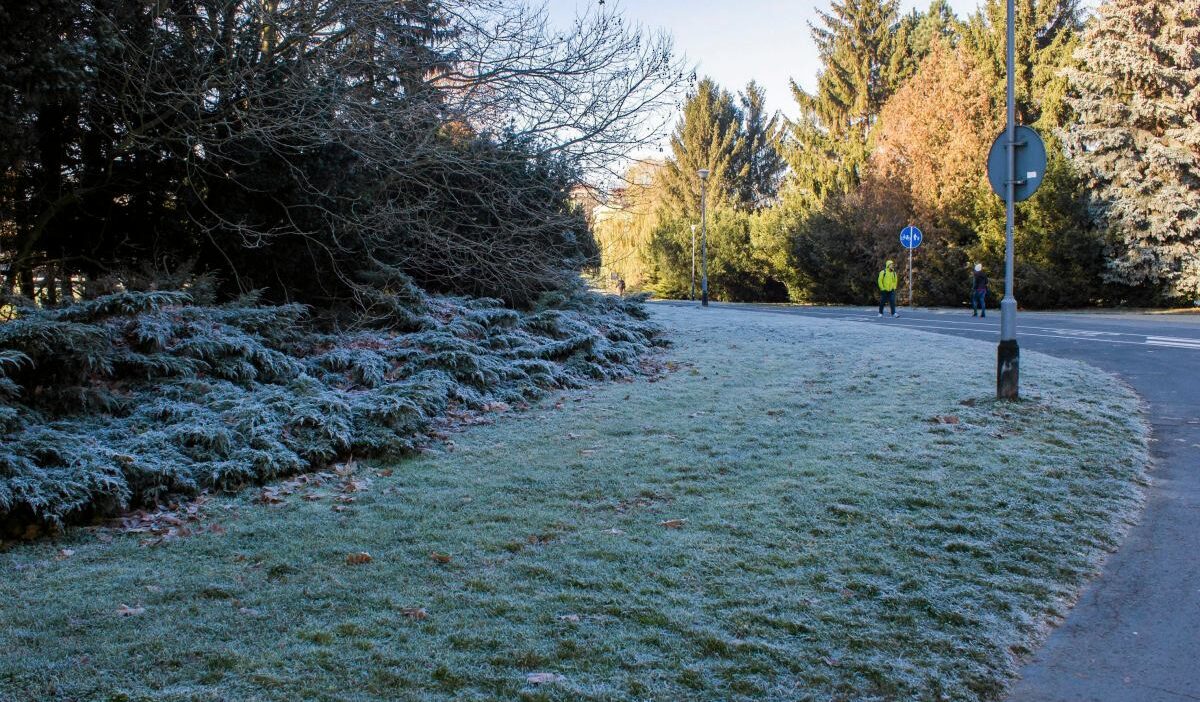 Polonya'da haftasonu hava durumu: don tehlikesi ve bölgesel farklılıklar 1 Polonya da haftasonu hava durumu don tehlikesi ve bolgesel farkliliklar 60846