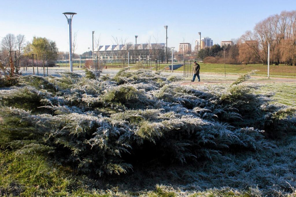 polonya da hava durumu bolgesel farkliliklar ve soguk hava uyarisi 61396