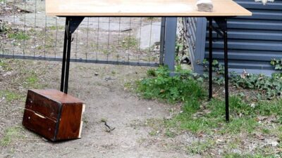 Polonya da kiliseden bagis kutusu hirsizligi supheli gozaltina alindi 62186