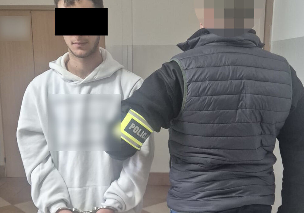 Polonya'da kimlik avı yapan dolandırıcılar tutuklandı: i̇ki türk vatandaşı gözaltında 1 Polonya da kimlik avi yapan dolandiricilar tutuklandi i ki turk vatandasi gozaltinda 61781