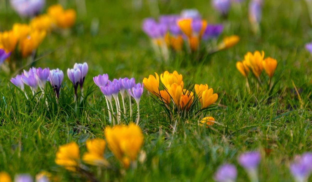 Polonya da kutsal hafta sonu hava durumu yagmur ve sicaklik degisiklikleri 58320