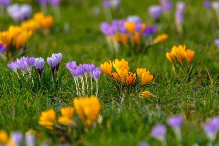 Polonya da kutsal hafta sonu hava durumu yagmur ve sicaklik degisiklikleri 58320