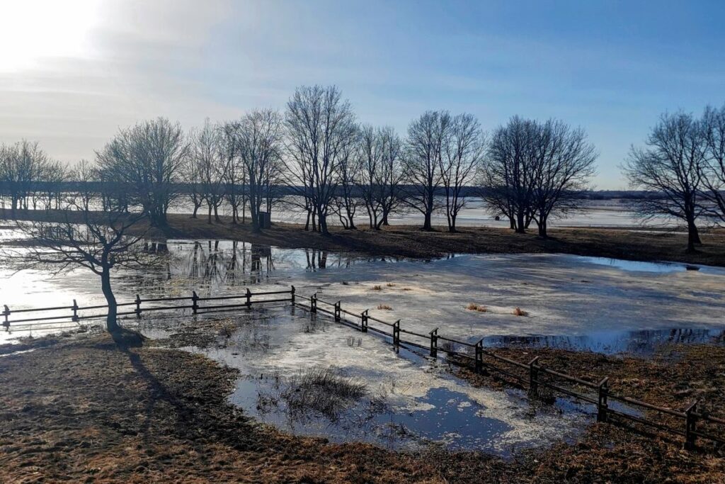 polonya da kuzey bolgelerinde siddetli ruzgar ve don uyarisi 58734